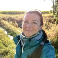 Luna Veritas, Single aus Rostock
