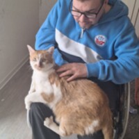 Wolli T., Single aus Teterow