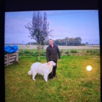Jens J., Single aus Grammendorf